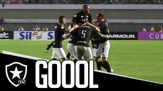 Gols  CSA 1 x 2 Botafogo  Brasileirão [upl. by Darla]