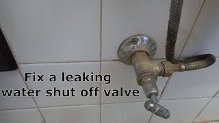 How to replace  repair water shut off valve  DIY [upl. by Luckett]