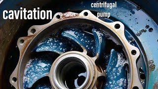 Cavitation in pump  cavitation in centrifugal pump animation  pump cavitation [upl. by Oirretna656]