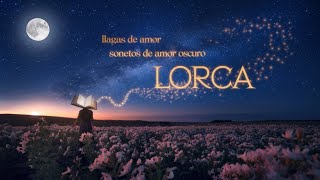 LLAGAS DE AMOR SONETOS DEL AMOR OSCURO LORCA [upl. by Oirevas490]