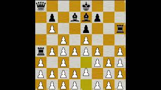 How to play Brilliant 135 chess chessboard magnuscarlsen chessontheboard chessgame prochess [upl. by Odlavso939]