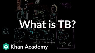 What is TB  Infectious diseases  NCLEXRN  Khan Academy [upl. by Dianne]