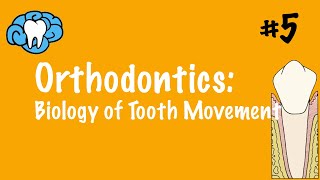 Orthodontics  Biology of Tooth Movement  INBDE ADAT [upl. by Mckale]