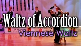 VIENNESE WALTZ  Dj Ice  Waltz Of Accordion 60 BPM [upl. by Thirion295]