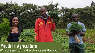 Youth And Agriculture [upl. by Atteuqahs]