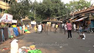 Outside the Kalighat temple Kolkata [upl. by Ettelorahc36]