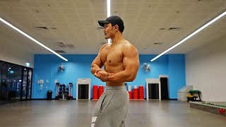 Upgrade Day 130  Best Chest Shoulder and Triceps workout in 2024 Hindi [upl. by Dauf]