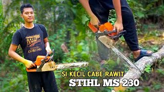 STIHL MS 230 CHAINSAW KECIL KECIL CABE RAWIT [upl. by Wolgast]