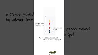 How do I calculate a Rf value in chromatography [upl. by Esilec]