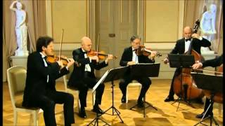 Mozart Pequena Serenata Noturna [upl. by Eaver]