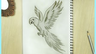 Parrot Drawing  How to Draw a Parrot  Flying Bird Sketch Parrot Drawing Easy [upl. by Aiasi821]