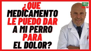 🔴 Que MEDICAMENTO Antiinflamatorio le puedo dar ami PERRO para el DOLOR 🔴 Muscular de Pata etc [upl. by Tneciv]