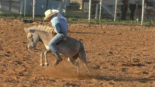 Donkey Riding  Last Ride  Wow 2019 Saints Roost Jr Ranch Rodeo [upl. by Fairlie]