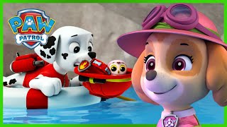 Over 1 Hour of Skye and Marshall Rescues ☁️🔥 PAW Patrol  Cartoons for Kids Compilation [upl. by Etirugram520]