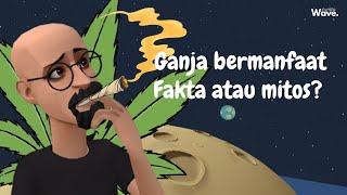 GANJA BERMANFAAT FAKTA ATAU MITOSganjamedis sejarah animasi [upl. by Nolek]