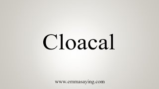 How To Say Cloacal [upl. by Nylzaj]