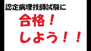 認定病理技師試験対策2019 ぜひ合格を！ 過去問題 試験範囲 [upl. by Katy]