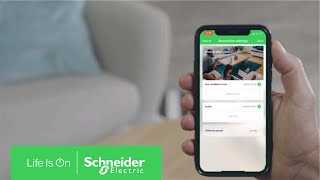 Wiser by SE How to Configure an Automation Example 1  Schneider Electric [upl. by Llain]