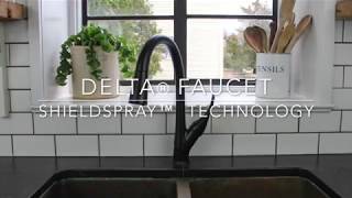 Delta® Faucet ShieldSpray Challenge  Christinas Adventures [upl. by Emmie]