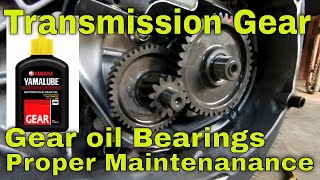 Scooter tips how to check Transmission gear  Gearbox  Bearings Tagalog [upl. by Suryc]