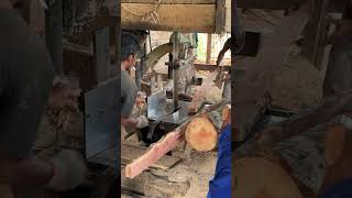 How to Sawing Thick Wood Without Obstacles [upl. by Torrie792]