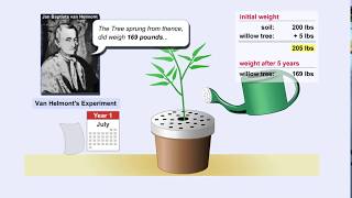 Photosynthesis and Van Helmont Experiment [upl. by Cadal103]