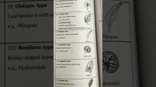 Biology  Shape of Lamina Leaf 🍃🍁 [upl. by Anilave]