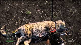 Farcry 4 Where to find Snow Leopards [upl. by Wettam]