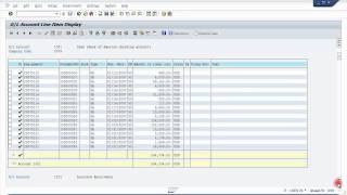 SAP GL Account Line Item Display Account Ledger [upl. by Aileon]