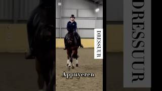 Appuyeren is een moeilijke oefening voor het paard horse horsetraining horsetrainer equestrian [upl. by Rivkah114]