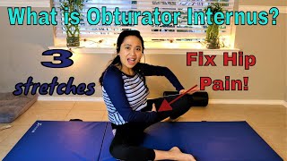 Hip Groin Pain What is Obturator Internus 3 Best Exercises Fix [upl. by Islek766]