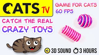 GAME FOR CATS  Catch real crazy toys 🙀😻 3 HOURS Cats TV [upl. by Adnaram]