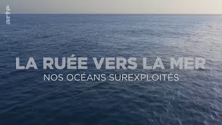 Nos océans surexploités  La ruée vers la mer  ARTE DOC 2021 FRENCH [upl. by Doykos732]