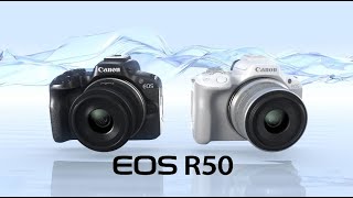 Introducing the Canon EOS R50 [upl. by Reizarf]