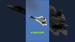 Is the Su57 a copycat [upl. by Dennard]