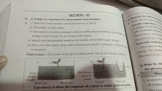 Hydrotropism in plants [upl. by Anama]