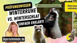 Was ist der Unterschied zwischen Winterruhe und Winterschlaf Wissen für die Jagdausbildung [upl. by Klemm]