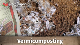 What is Vermicomposting and How To Use It In Your Garden [upl. by Giule]