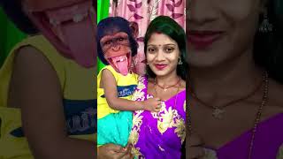 Bandar mama pahan pajama 🐒🐒🐒funny monkey [upl. by Ehsom]