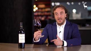 Vídeocata Arzuaga Crianza 2017 Javier Bañales [upl. by Naivat]