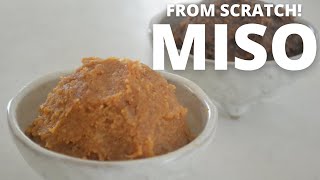 How to make ★Homemade MISO★from scratch～みその作り方～（EP79） [upl. by Ponton920]