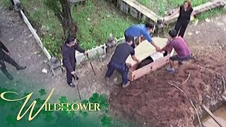 Wildflower The Ardientes lock Ivy inside a coffin to bury her alive  EP 162 [upl. by Norvell]