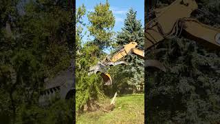 MDE Scorpion S1600 Excavator Grab IN ACTION  Morton Equipment demolition construction [upl. by Lrad]