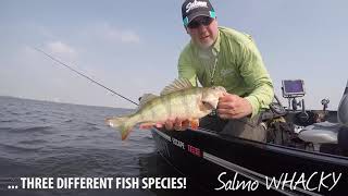 One day with Salmo Whacky [upl. by Weinberg]