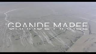 Grande marée au Hourdel  Baie de Somme  19 septembre 2024 [upl. by Ocin]