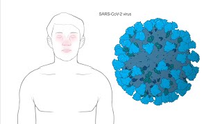 How does Modernas Coronavirus vaccine work [upl. by Tiphani]