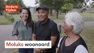 Weggestopt in een concentratiekamp  ANDERE TIJDEN [upl. by Yatnuahs]