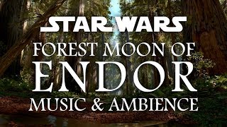 Star Wars Music and Ambience  Moon of Endor [upl. by Notsla]