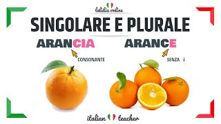 SINGOLARE e PLURALE  Easy Exercises  GRAMMAR  Italian for Beginners [upl. by Nnayt]