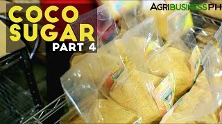 Coco Sugar Part 4  How to make Coco Sugar  Agribusiness Philippines [upl. by Garrek]